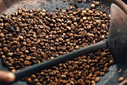 Kopi Luwak : le café le plus cher du monde dans une bière