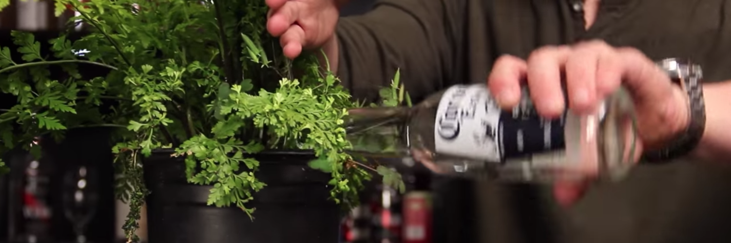 5 trucs et astuces bière pour vous simplifier la vie