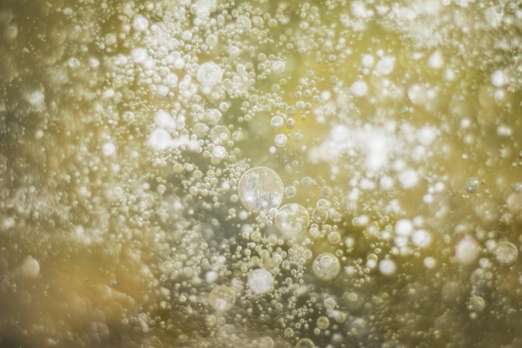 brut ipa