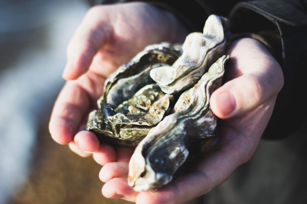 oyster-stout