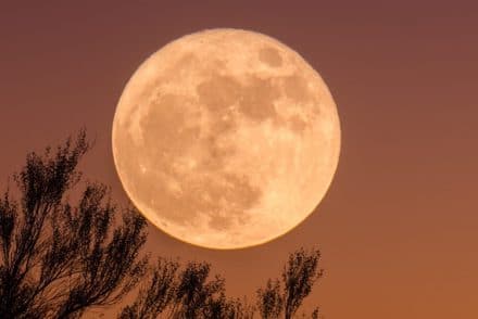 pleine lune