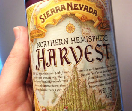 Harvest ale : la bière de récolte au houblon frais