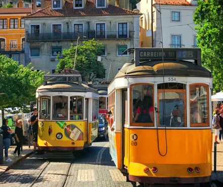 Bière portugaise : que boit-on au Portugal ?