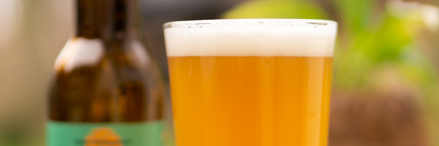 Allergie à la bière, intolérances causes, symptômes et alternatives